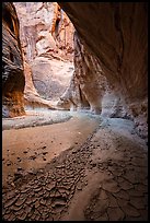 Paria River Canyon with cracked mud. Vermilion Cliffs National Monument, Arizona, USA ( color)