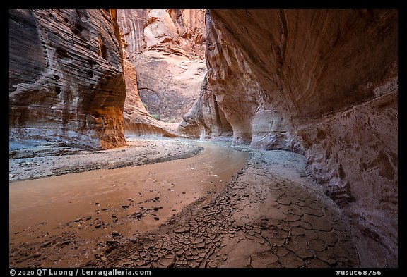 Craked mud along the Paria River in canyon. Vermilion Cliffs National Monument, Arizona, USA (color)