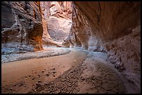 Craked mud along the Paria River in canyon. Vermilion Cliffs National Monument, Arizona, USA ( color)