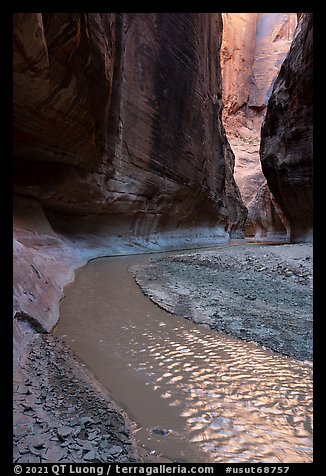 Paria River flowing in narrow canyon. Paria Canyon Vermilion Cliffs Wilderness, Arizona, USA (color)