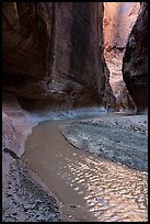 Paria River flowing in narrow canyon. Paria Canyon Vermilion Cliffs Wilderness, Arizona, USA ( color)