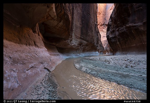 Paria River flowing between canyon walls. Paria Canyon Vermilion Cliffs Wilderness, Arizona, USA (color)