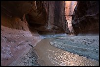 Paria River flowing between canyon walls. Paria Canyon Vermilion Cliffs Wilderness, Arizona, USA ( color)
