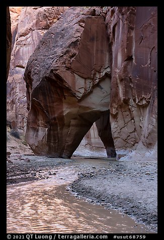 Paria River and Sliderock Arch. Paria Canyon Vermilion Cliffs Wilderness, Arizona, USA (color)