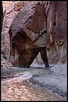 Paria River and Sliderock Arch. Paria Canyon Vermilion Cliffs Wilderness, Arizona, USA ( color)