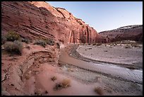 Paria River and cliffs in Paria Canyon. Grand Staircase Escalante National Monument, Utah, USA ( color)