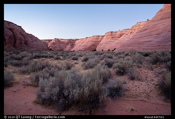 Petrified sand dunes bordering Paria Canyon at dusk. Grand Staircase Escalante National Monument, Utah, USA (color)