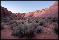 Petrified sand dunes bordering Paria Canyon at dusk. Grand Staircase Escalante National Monument, Utah, USA ( color)