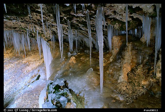 Stalactities in Mossy Cave. Utah, USA