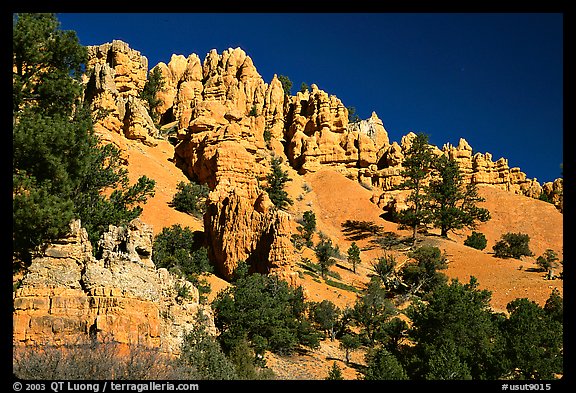 Hoodoos, Red Canyon, Dixie National Forest. Utah, USA