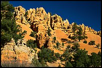 Hoodoos, Red Canyon, Dixie National Forest. Utah, USA (color)