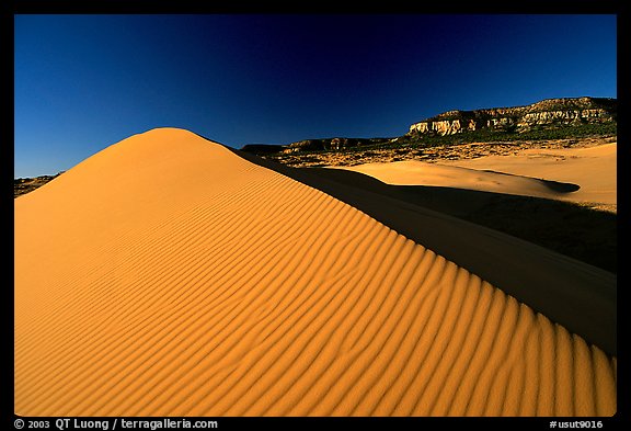 Picture/Photo: Sand dune at sunset, Coral Pink Sand Dunes State Park. Utah,  USA