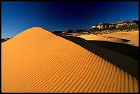 Sand dune at sunset, Coral Pink Sand Dunes State Park. Utah, USA