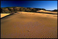 Rippled sand dune, late afternoon, Coral Pink Sand Dunes State Park. Utah, USA