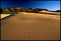 Rippled sand dune, late afternoon, Coral Pink Sand Dunes State Park. Utah, USA (color)