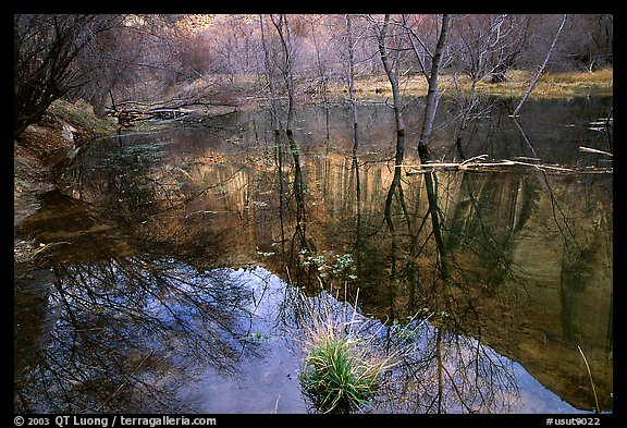 Canyon and reflections, Calf Creek. Grand Staircase Escalante National Monument, Utah, USA