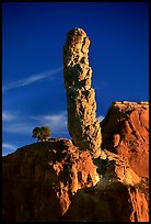 Sand Pipes (rock column), sunset, Kodachrome Basin State Park. Utah, USA (color)