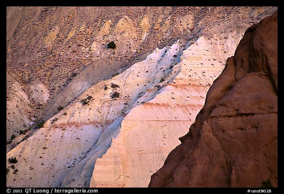 Multicolored cliffs of Entrada sandstone, Kodachrome Basin State Park. Utah, USA (color)
