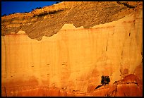 Red cliffs of Entrada sandstone, sunset, Kodachrome Basin State Park. Utah, USA (color)