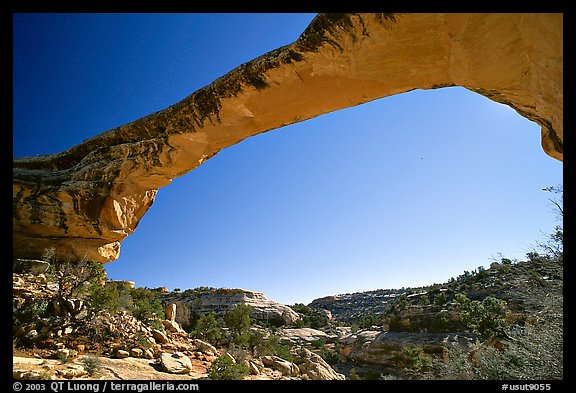 Owachomo Bridge, Natural Bridges National Monument. Utah, USA (color)