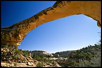 Owachomo Bridge, Natural Bridges National Monument. Utah, USA ( color)