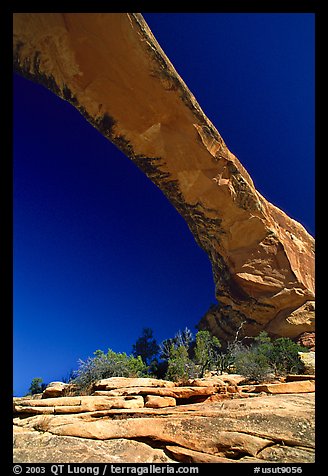 Owachomo Bridge, Natural Bridges National Monument. Utah, USA (color)