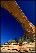 Owachomo Bridge, Natural Bridges National Monument. Utah, USA ( color)