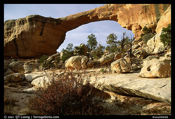 Owachomo Bridge, Natural Bridges National Monument. Utah, USA