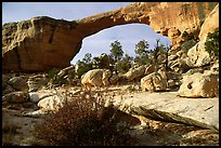 Owachomo Bridge, Natural Bridges National Monument. Utah, USA ( color)