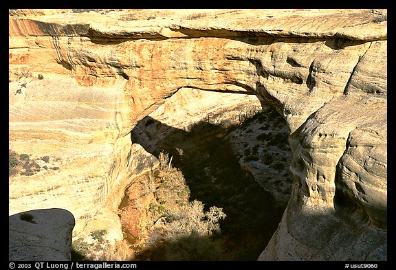 Sipapu Bridge, Natural Bridges National Monument. Utah, USA