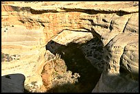 Sipapu Bridge, Natural Bridges National Monument. Utah, USA ( color)