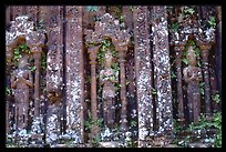 Vegetation invades ruined Cham temple, My Son