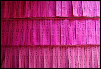 Prayer labels with names written in Chinese characters. Cholon, District 5, Ho Chi Minh City, Vietnam ( color)