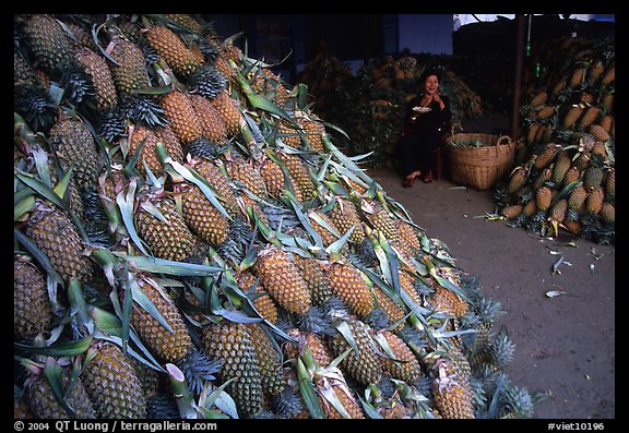 Loads of pinaaples. Cholon, Ho Chi Minh City, Vietnam (color)