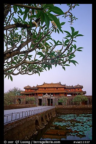 Plumeria trees, Ngo Mon Gate (Moon Gate), Hue citadel. Hue, Vietnam (color)