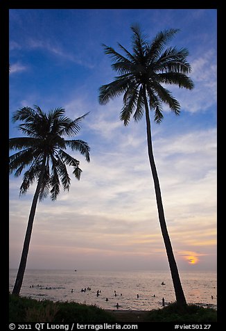 Palm trees and people in water at sunset. Phu Quoc Island, Vietnam (color)