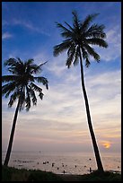 Palm trees and people in water at sunset. Phu Quoc Island, Vietnam ( color)