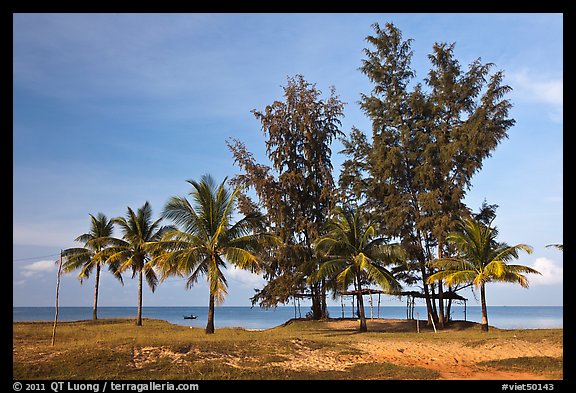 Beachfront with palm trees and huts. Phu Quoc Island, Vietnam