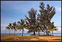 Beachfront with palm trees and huts. Phu Quoc Island, Vietnam (color)