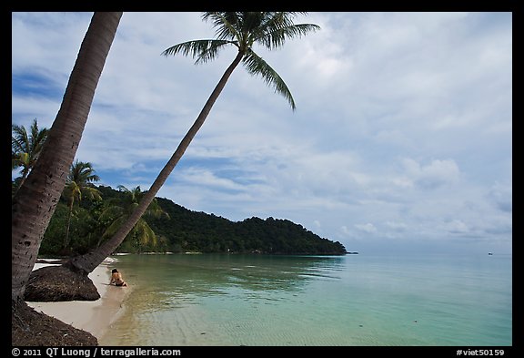 Palm-fringed beach, Bai Sau. Phu Quoc Island, Vietnam (color)