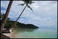 Palm-fringed beach, Bai Sau. Phu Quoc Island, Vietnam ( color)