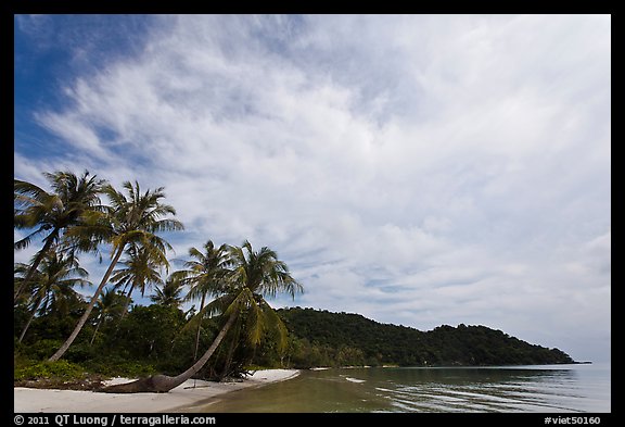 Bai Sau Palm-fringed beach. Phu Quoc Island, Vietnam (color)