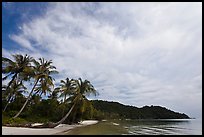 Bai Sau Palm-fringed beach. Phu Quoc Island, Vietnam ( color)