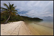 Palm-fringed tropical sandy beach, Bai Sau. Phu Quoc Island, Vietnam ( color)