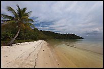 Palm-fringed tropical sandy beach, Bai Sau. Phu Quoc Island, Vietnam