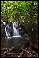 Suoi Tranh tropical waterfall. Phu Quoc Island, Vietnam