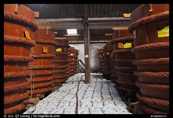 Fish Sauce factory, Duong Dong. Phu Quoc Island, Vietnam (color)