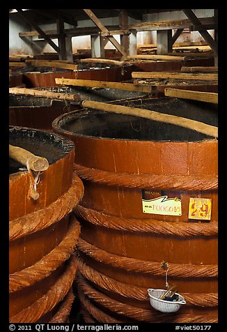 Fish Sauce distillery, Duong Dong. Phu Quoc Island, Vietnam (color)