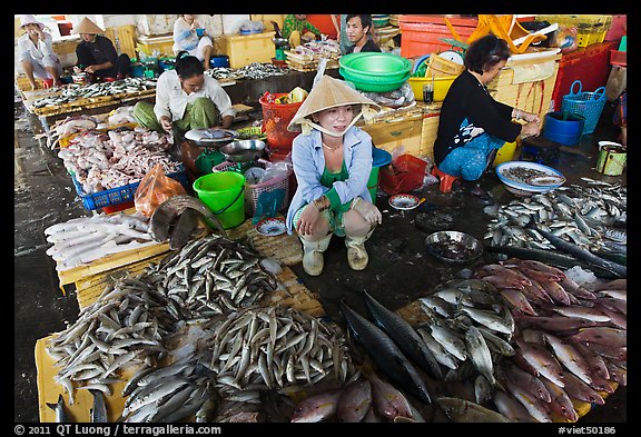 Women fishmongers, Duong Dong. Phu Quoc Island, Vietnam (color)