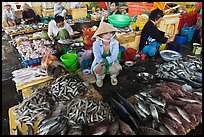 Women fishmongers, Duong Dong. Phu Quoc Island, Vietnam